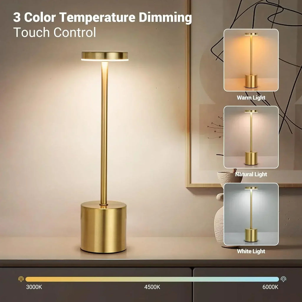 Ecocene Lamp