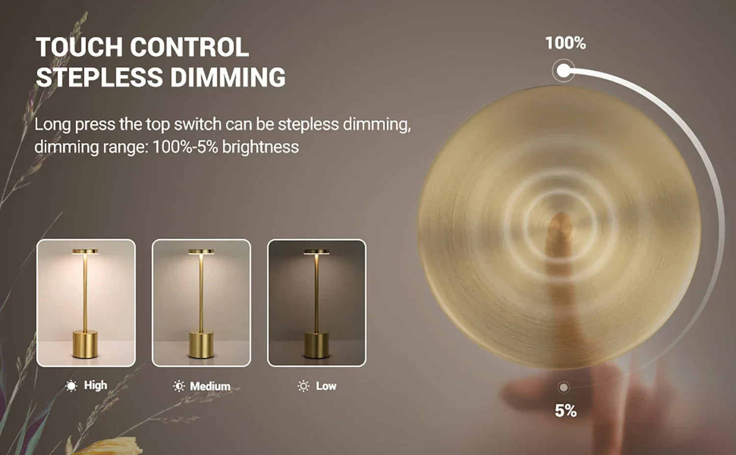 Ecocene Lamp